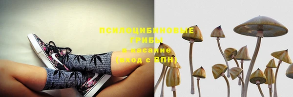 альфа пвп Ростов