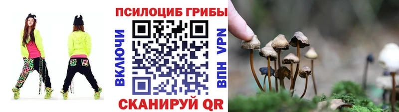купить Невельск Псилоцибиновые грибы Magic Shrooms